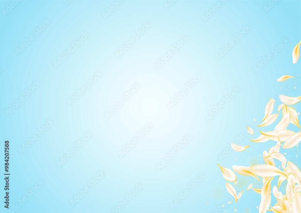 Obraz premium yellow_petals_blue_background_937.eps