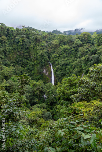 Cascada de La Fortuna Entre la Densa Vegetación del Bosque Tropical, Costa Rica photo