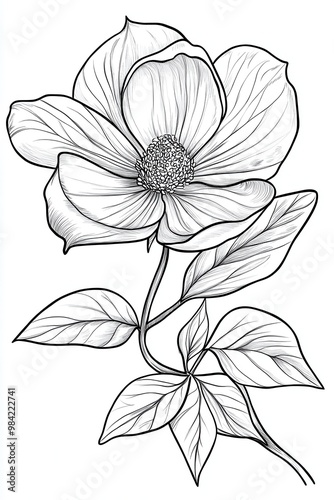 Wallpaper Mural A detailed black-and-white illustration of a single large flower with carefully drawn petals Torontodigital.ca