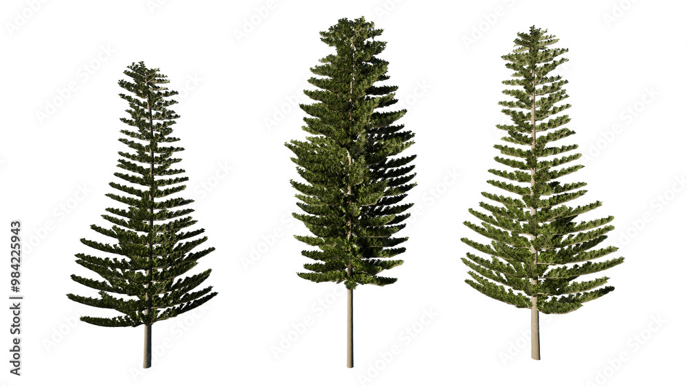 Fototapeta premium cones isolated on white