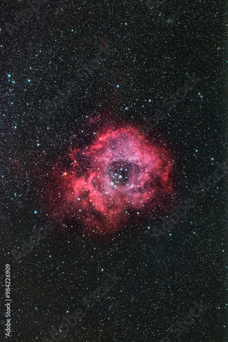 Wallpaper Mural photo Torontodigital.ca