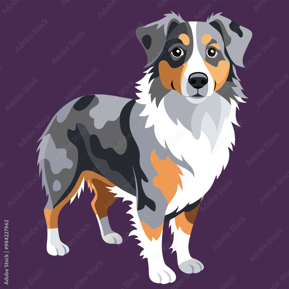 Fototapeta premium Vector Illustrations of Australian Shepherd head with background, editable illustration vector for various uses