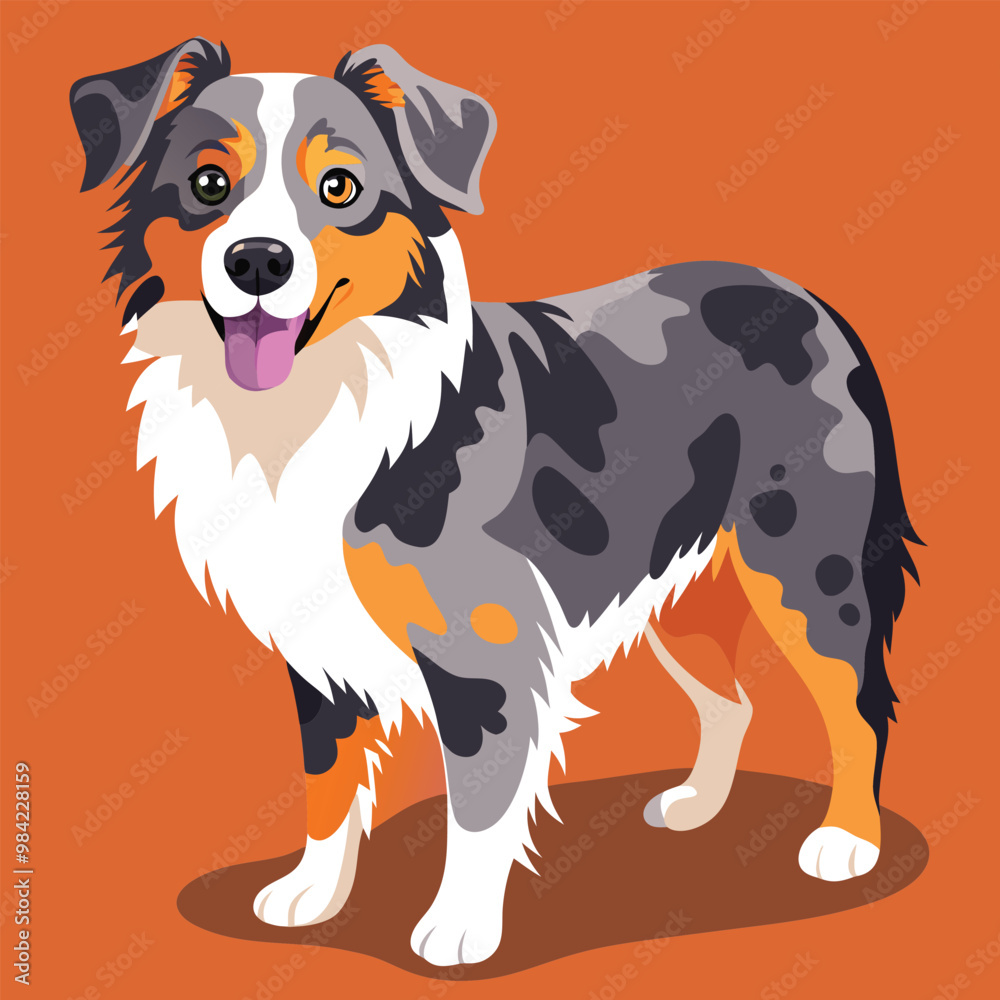 Vector Illustrations of Australian Shepherd orange background, editable ...