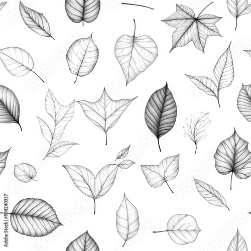 Stylized black and white illustration of various leaves, perfect for nature-themed designs and creative projects.