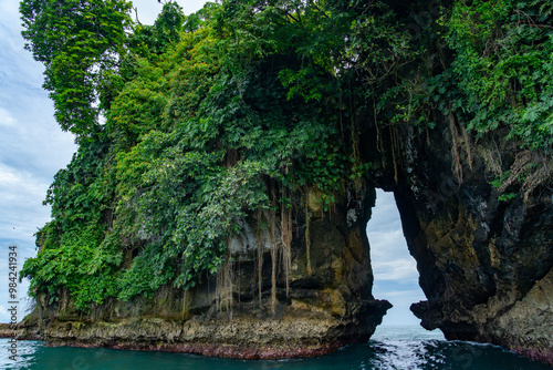 Beautiful Tropical Island in Panama with Lush Greenery, Exotic Wildlife Surrounded by the Caribbean Ocean, Perfect for Adventure, Travel, Nature Photography, and Outdoor Exploration