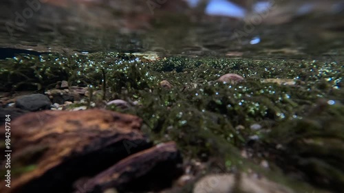 Underwater Stream at Glengoyne Distillery photo