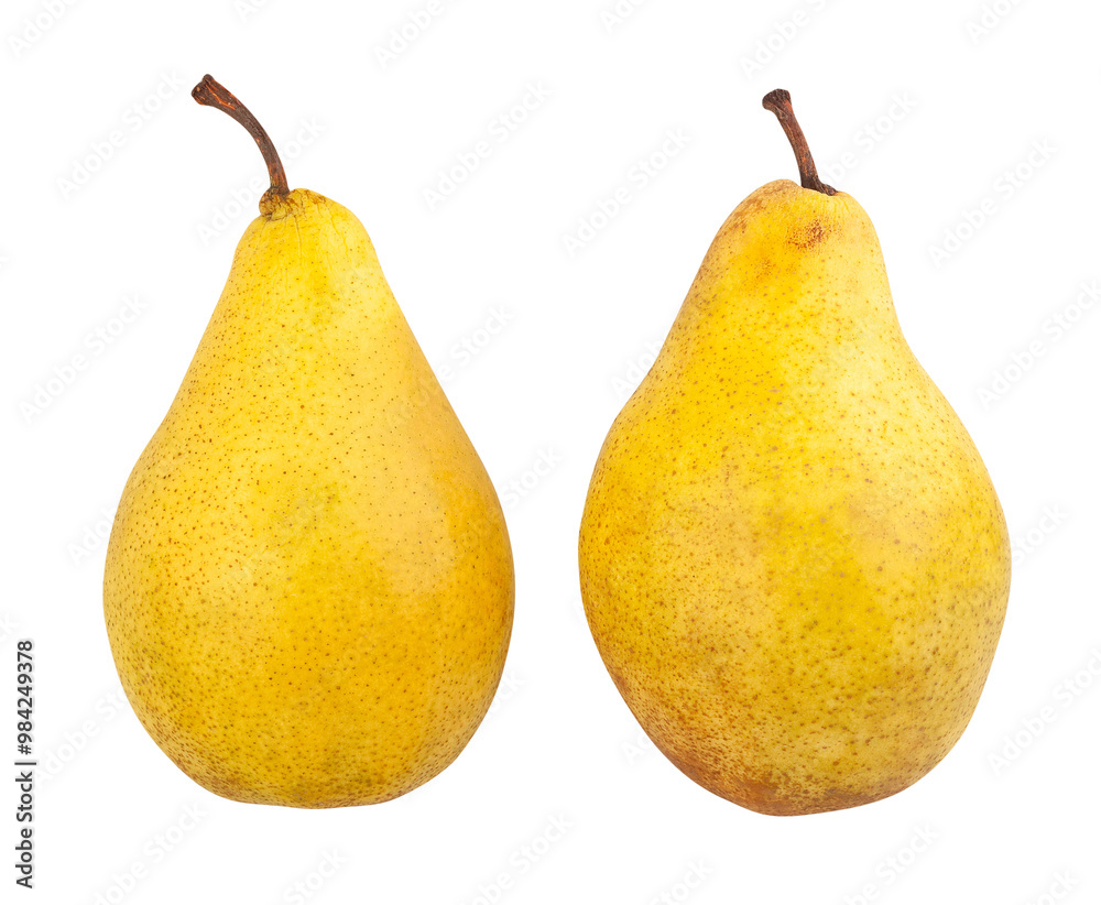 yellow pears path isolated on white yellow pears path isolated on white