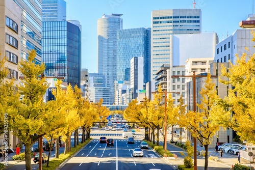 名古屋市、秋の桜通のイチョウ並木