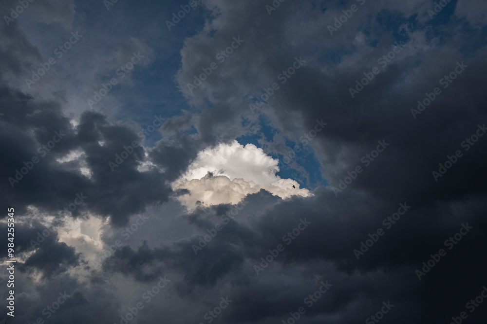 入道雲 入道雲