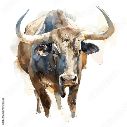 Watercolor vector of bull, isolated on a white background, and bull vector