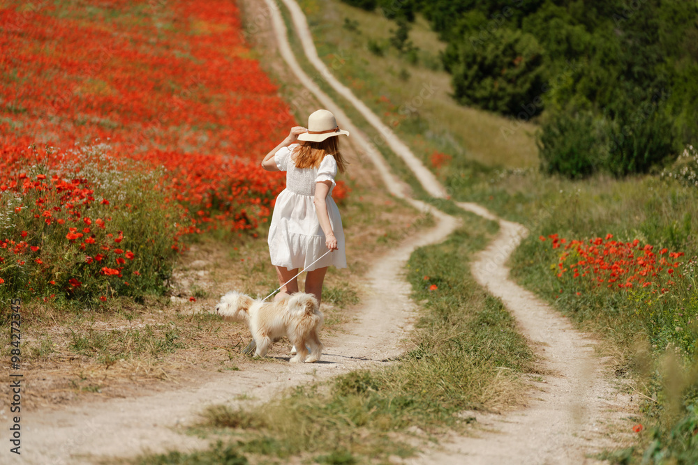 Fototapeta premium woman with dog. Happy woman walking with white dog the road along a blooming poppy field on a sunny day, She is wearing a white dress and a hat. On a walk with dog