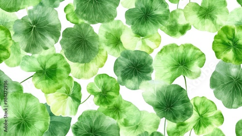 Seamless pattern featuring Centella asiatica with vibrant green leaves suitable for textile design including watercolor botanical print for clothing wallpaper wrapping paper scrapbooking and cosme photo