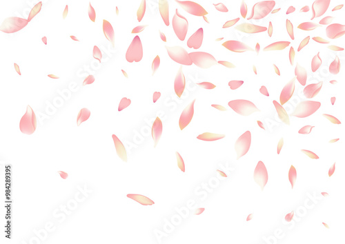 2400x170019__Persik3_01.eps