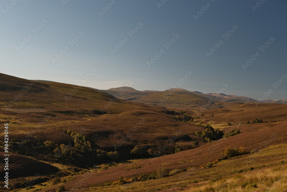 Fototapeta premium View of the Scottish Highlands in late summer