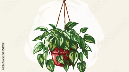 Home Plant in a Hanging Pot Handdrawn Vector Illustration