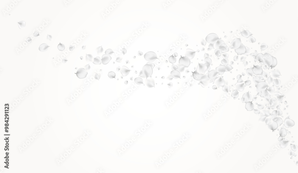 White_petals_gray_background_525.eps White_petals_gray_background_525.eps
