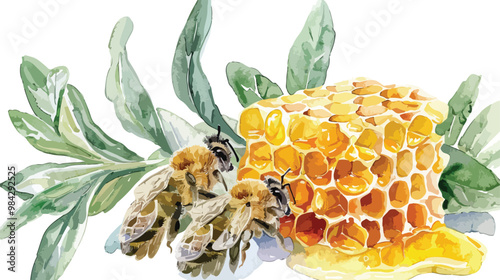 Honey Comb Dipper Sage Set Watercolor on White Background