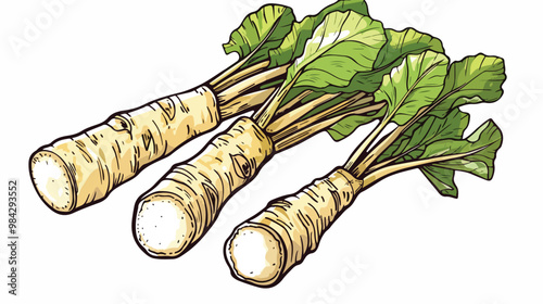 Hand-drawn Vector Illustration of Horseradish on Stem