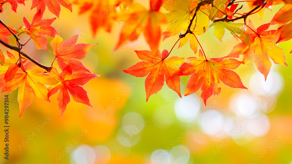 Herbst, Jahreszeit mit bunten Blätter und Regentropfen, Herbst, Jahreszeit mit bunten Blätter und Regentropfen,