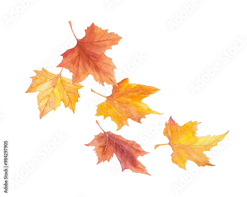 Watercolor autumn falling leaves illustration. Orange maple leaf photo