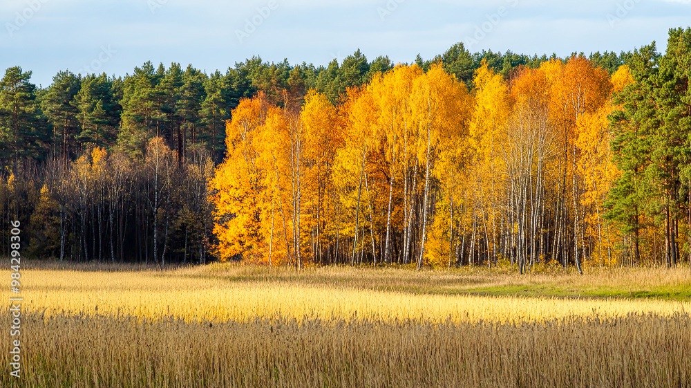Herbstlandschaft, Jahreszeit mit bunten Blätter Herbstlandschaft, Jahreszeit mit bunten Blätter