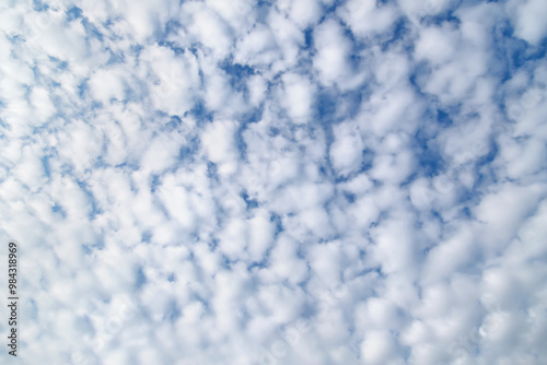 Beautiful blue sky with white Altocumulus undulatus clouds.