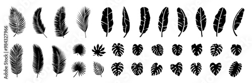 tropical leaf vector set. illustration graphic design art silhouette cut out collage banana leaf coconut leaf fan palm leaves monstera nature forest summer island vacation holiday travel hawaii aloha