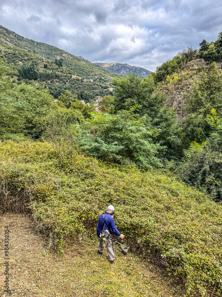 Gardener, wearing protective gear, using a brushcutter to clearing undergrowth on a path through brambles and vegetation on a hillside Gardener, wearing protective gear, using a brushcutter to clearing undergrowth on a path through brambles and vegetation on a hillside