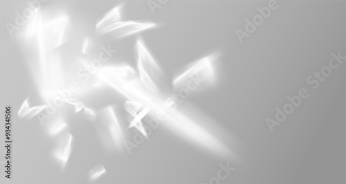 Glare from the sun's rays on the wall. Blurred shadows the room. Soft overlay of natural light. Abstract background for product presentation.Natural light layout.
