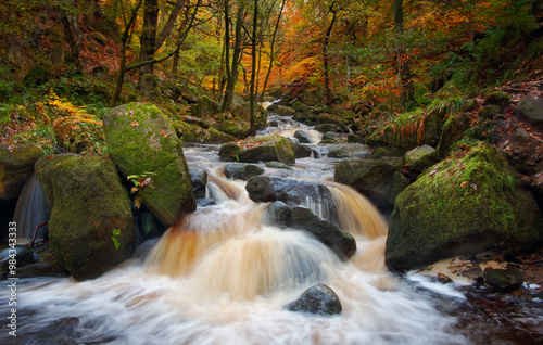 Cascading Waters of Burbage Brook in Padley Gorge, Peak District National Park, Derbyshire. Mossy Boulders and Autumn Trees Frame the Flowing Brook in this Enchanting National Trust Woodland Landscape