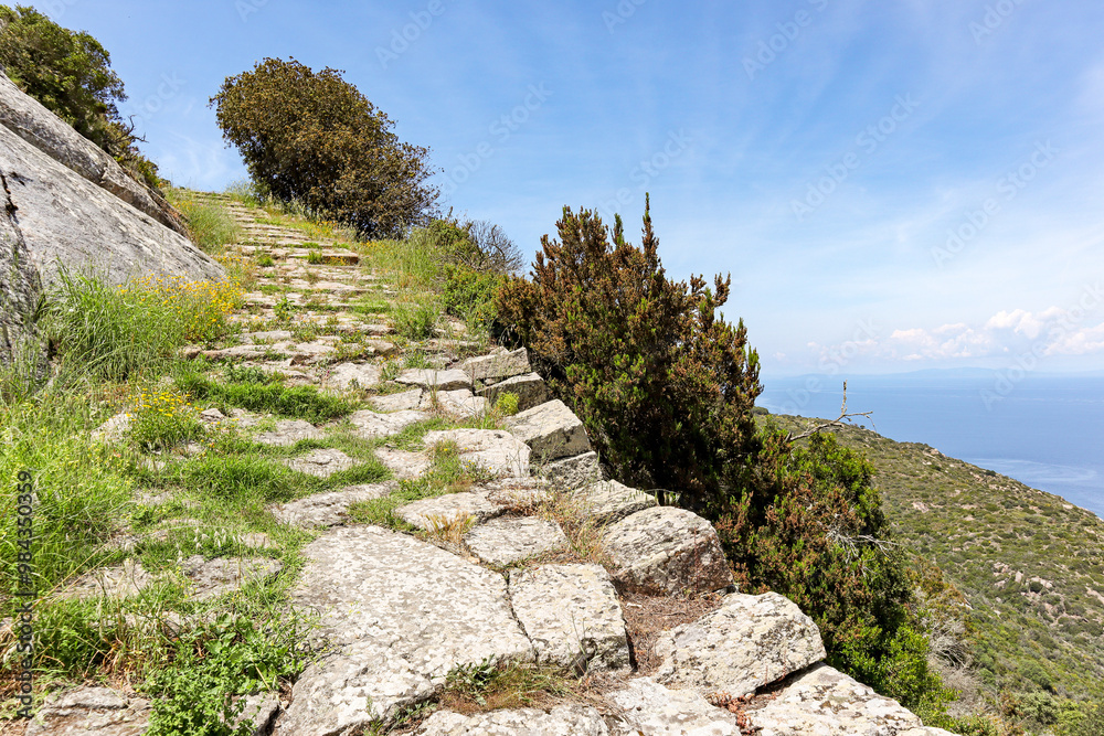 Obraz premium Hiking trail (Mulattiera) from Giglio Porto to Giglio Castello with view to mediterranean sea and beach of Arenella at Isola del Giglio, island of the tuscan archipelago, Grosseto Tuscany Italy