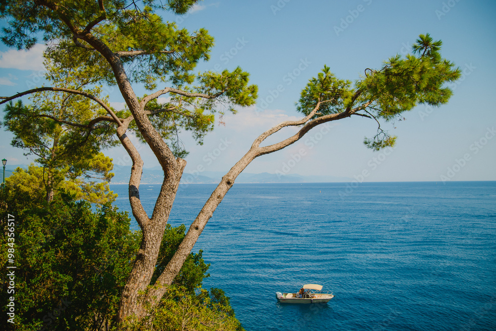 Seascape with rocks and yachts on the sea. Portofino, resort. Ligurian Sea. Italy Seascape with rocks and yachts on the sea. Portofino, resort. Ligurian Sea. Italy
