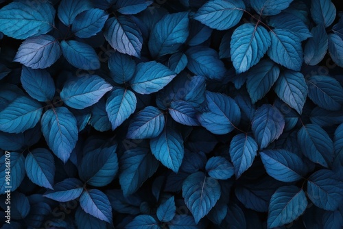 Blue colour in natural form. Blue tone leaves.