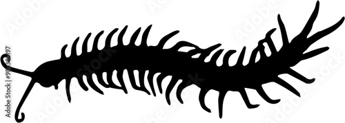 Vector silhouette illustration of a centipede for halloween day