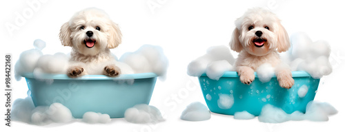 Set of Cute little Shih-Tzu dogs in a bath with foam, isolated on transparent background, cute pet concept, realistic 3D illustration, generative ai