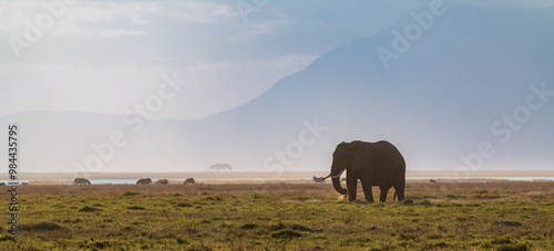Elephant Grazing on the Open Plains of Amboseli National Park, Kenya with Misty Mountains in the Background – African Wildlife and Scenic Landscape