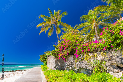beach with palm trees