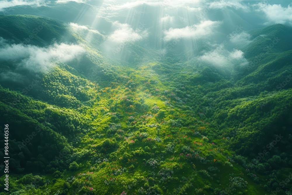aerial view of lush green meadow dotted with colorful wildflowers sunlight streams through wispy clouds creating dappled patterns on the verdant landscape vibrant and serene nature scene aerial view of lush green meadow dotted with colorful wildflowers sunlight streams through wispy clouds creating dappled patterns on the verdant landscape vibrant and serene nature scene