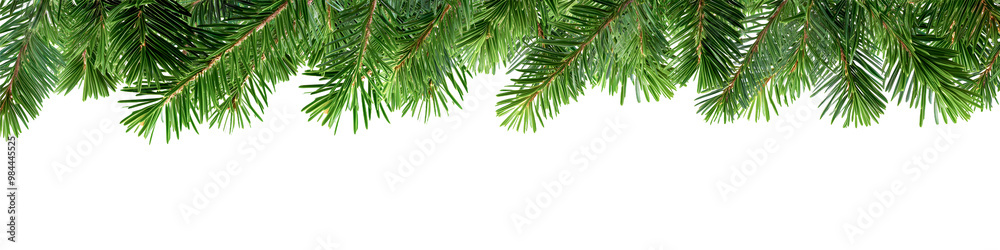 christmas tree branches isolated christmas tree branches isolated