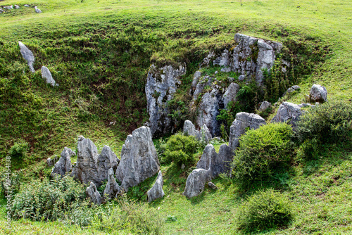 The green grasslands and lush green grass are beautiful.