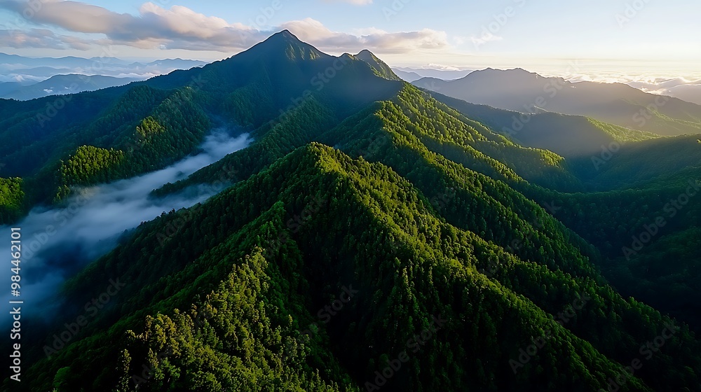 Fototapeta premium The sunrise casts a golden glow over the mountain range, fog and clouds drifting peacefully.