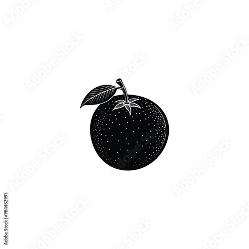 fruit silhouette vector