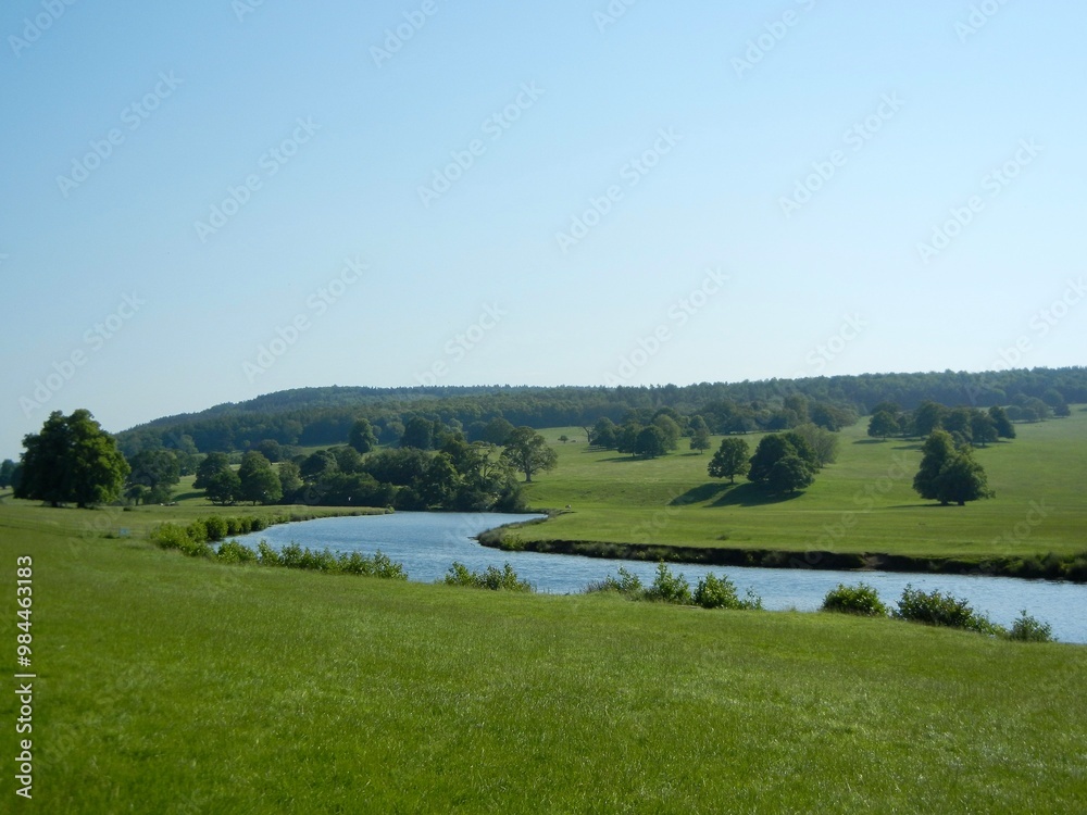 Obraz premium Lush Riverside Landscape with Trees