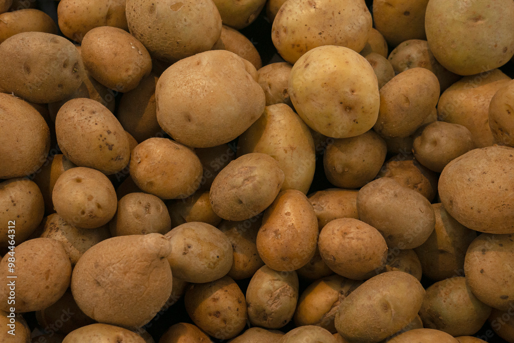 Top down view of many organic, freshly dug potatoes. Agricultural background texture. Top view and Flatlay angle.
Photo Formats
4592 × 3064 pixels • 15,3 × 10,2 in • DPI 300 • JPG
1000 × 667 pixels • Top down view of many organic, freshly dug potatoes. Agricultural background texture. Top view and Flatlay angle.
Photo Formats
4592 × 3064 pixels • 15,3 × 10,2 in • DPI 300 • JPG
1000 × 667 pixels •