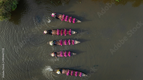 Harvesting water lilies in the floating season on Moc Hoa field, Long An. Video shot in Moc Hoa, Long An on September 9, 2024. photo