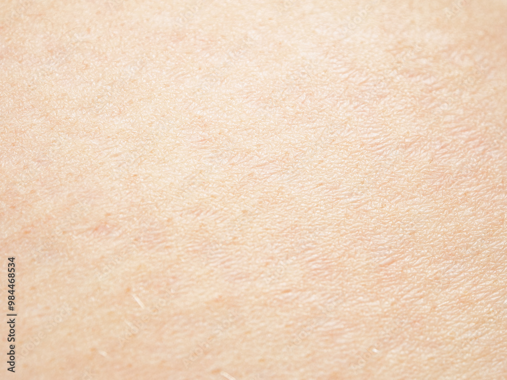 Close-up of skin showing texture and structure, highlighting details important to the study of dermatology Close-up of skin showing texture and structure, highlighting details important to the study of dermatology