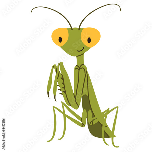 Flat vector illustration in children's style. Cute praying mantis on white background . Vector illustration