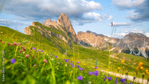 seceda mountain peak with wildflowers in the forground in summer, Dolomites, Italy