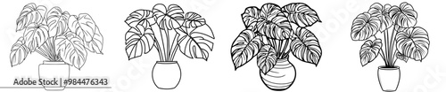 The set of doodle potted house plant drawn by hand is part of the domestic life collection. Black and white drawing in a doodle style is isolated on a white background. Perfect for cards, posters,