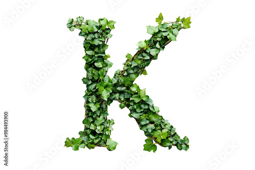 Letter K with Green Leaves and Botanical Typography, Nature-Inspired Alphabet Design on Transparent Background, Perfect for Eco-Friendly and Decorative Themes
